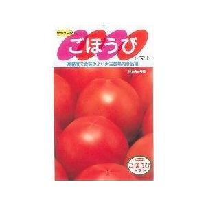 大玉トマト　ごほうび　20粒　サカタのタネ