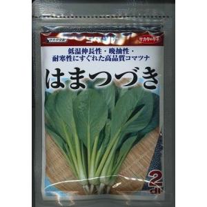 小松菜 はまつづき 2dl （株）サカタのタネ