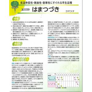小松菜 はまつづき 20ml(株) サカタのタネの詳細画像2