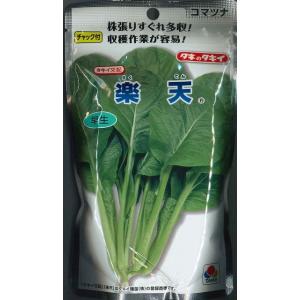ねぎ 羽緑一本太葱ペレット種子 5000粒 （株）トーホク : グリーン