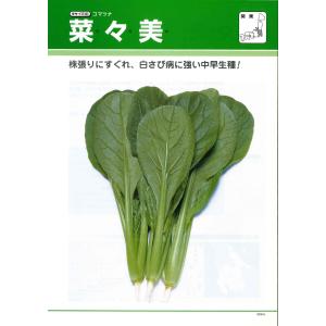 小松菜 菜々美 2dl タキイ種苗(株)の詳細画像2