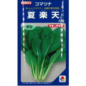 サカタのタネ（サカタノタネ） ブロッコリー ピクセル コート5000粒