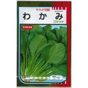 小松菜 わかみ 20ml (株)サカタのタネの商品画像