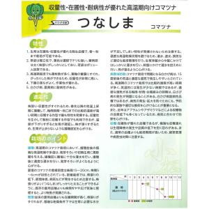 小松菜 つなしま 2dl (株)サカタのタネの詳細画像1