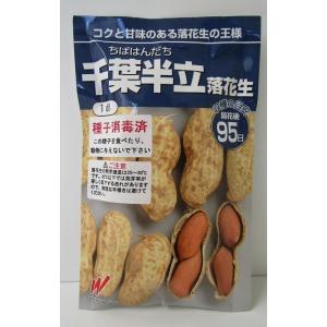 おおまさり落花生種500粒 落花生 おおまさりネオ むき実種子 20粒 渡辺農事（株） : グリーン
