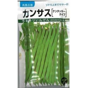 いんげん カンサス 1dl （株）タカヤマシード