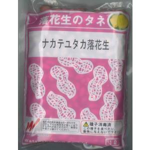 おおまさり落花生種500粒 落花生 おおまさりネオ むき実種子 20粒 渡辺農事（株） : グリーン