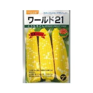 サカタのタネ（サカタノタネ） とうもろこし ゴールドラッシュ90 2000
