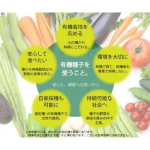 有機種子 ブロッコリー (スプラウト) 固定種...の詳細画像2