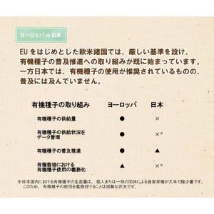 有機種子 ブロッコリー (スプラウト) 固定種...の詳細画像3