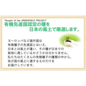 有機種子 ブロッコリー (スプラウト) 固定種...の詳細画像4