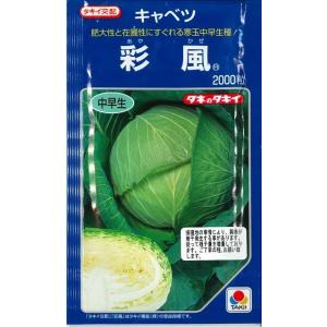 ねぎ 森の奏で ペレット種子5000粒 トキタ種苗 : グリーンロフトネモト