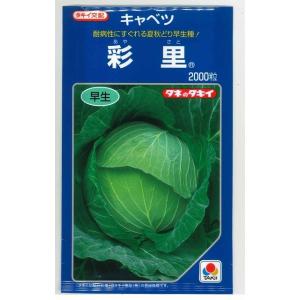 サカタのタネ（サカタノタネ） とうもろこし ゴールドラッシュ90 2000