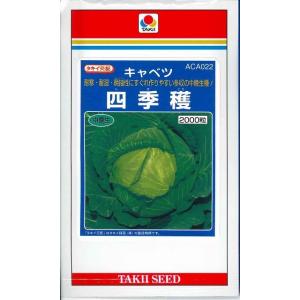 コート種子 キャベツ TCA-422 タキイ交配 キャベツの種 TCA−422 ペレット5千粒 ( 野菜の種 ) : 菜園