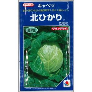 SK9-099 ブロッコリー種子 ペレット5000粒 【野菜種子】【サカタのタネ