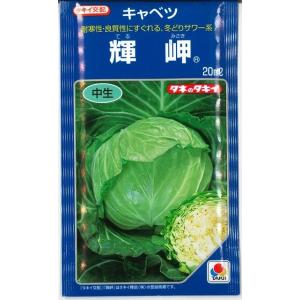 とうもろこし ミルキーシュガー 85(2000粒) トキタ種苗 : グリーン