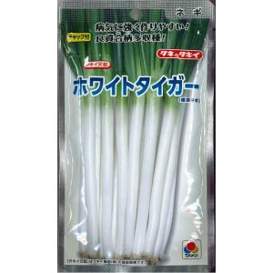 ねぎ ホワイトスター ペレット種子5000粒 タキイ種苗（株） : グリーン