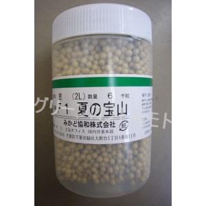 ねぎ ホワイトスター ペレット種子5000粒 タキイ種苗（株） : グリーン