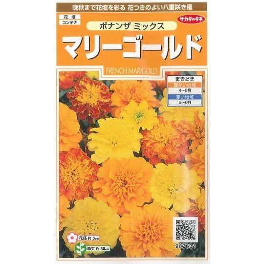 花の種　マリーゴールド　ボナンザミックス　約43粒　（株）サカタのタネ　実咲200