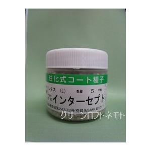 レタス インターセプト ペレット種子 5000粒 （株）サカタのタネ