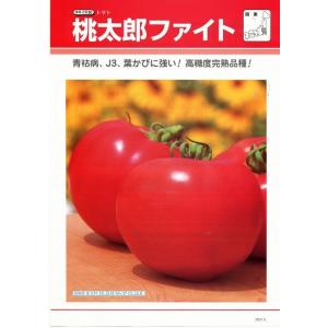 大玉トマト小袋 桃太郎ファイト 16粒 タキイ...の詳細画像2