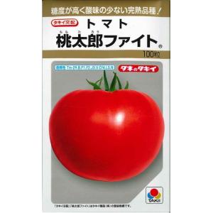 トマト 桃太郎ファイト　100粒　タキイ種苗（株）