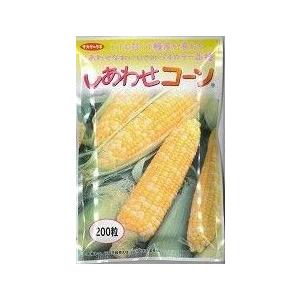 とうもろこし種　しあわせコーン　200粒（10％増量）