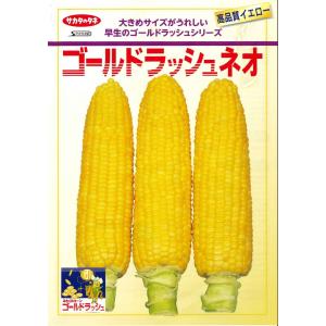 とうもろこし ゴールドラッシュネオ 200粒 ...の詳細画像1