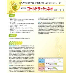 とうもろこし ゴールドラッシュネオ 200粒 ...の詳細画像2