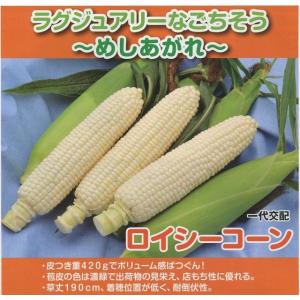 とうもろこし ロイシーコーン 200粒 渡辺農...の詳細画像1