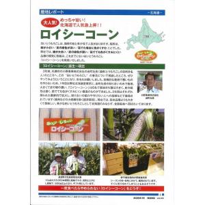 とうもろこし ロイシーコーン 200粒 渡辺農...の詳細画像3