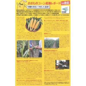 とうもろこし おおもの 2000粒 ナント種苗(株)の詳細画像2