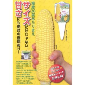 とうもろこし おおもの 200粒 ナント種苗(株)の詳細画像1