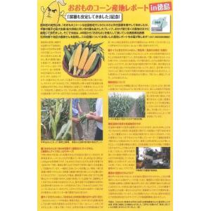 とうもろこし おおもの 200粒 ナント種苗(株)の詳細画像2