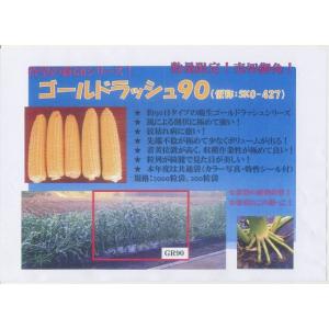 とうもろこし ゴールドラッシュ90 200粒 ...の詳細画像2