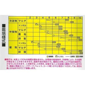 とうもろこし わくわくコーン88 2000粒 ...の詳細画像1