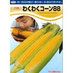 とうもろこし わくわくコーン88 2000粒 ...の詳細画像2