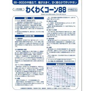 とうもろこし わくわくコーン88 2000粒 ...の詳細画像3