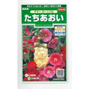 花の種 リナリア グッピー混合 小袋 タキイ種苗（株）(NL200
