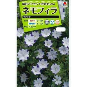 ネモフィラ 苗 花 ガーデニング の商品一覧 通販 Yahoo ショッピング