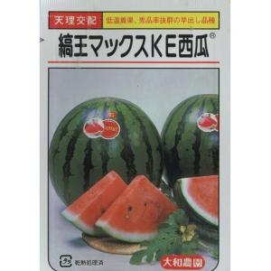 SK9-099 ブロッコリー種子 ペレット5000粒 【野菜種子】【サカタのタネ