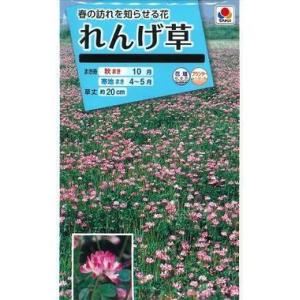 花の種 れんげ草 10ml(NL150)の商品画像