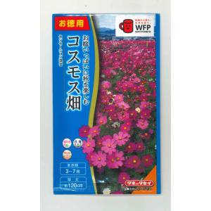 花種子 お徳用パック！ コスモス畑 センセーション混合 タキイ種苗の