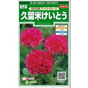 久留米けいとうの商品一覧 通販 Yahoo ショッピング