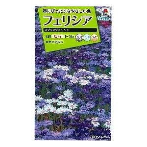 花の種 フェリシア スプリングメルヘン 0 4ml タキイ交配 ｎｌ0 グリーンロフトネモト 通販 Yahoo ショッピング