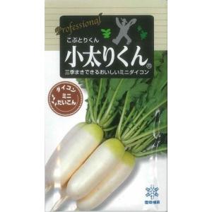 枝豆 丹波黒大粒大豆 1L タキイ種苗（株） : グリーンロフトネモト