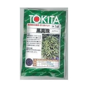 野菜種子 枝豆（えだまめ） サッポロミドリ 1L フィルムコート種子