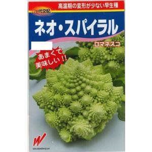 タキイ種苗 レタス ヒートガイ ペレット5000粒 : 種苗・園芸ショップ