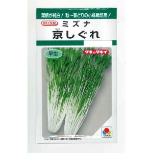 ねぎ 関羽一本太 ペレット種子5千粒 （株）トーホク : グリーンロフト