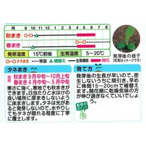 花の種 わすれな草 アルペストリス混合 タキイ...の詳細画像1